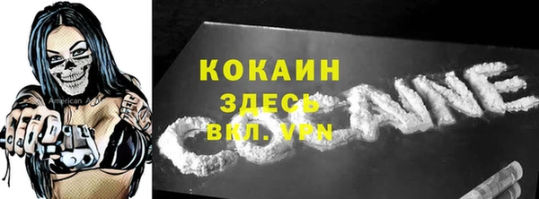 дживик Абинск